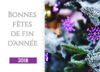 Bonnes fêtes 2018